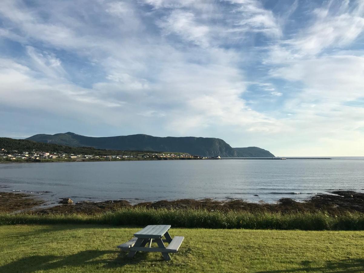 Wildflowers Country Inn Rocky Harbour Esterno foto